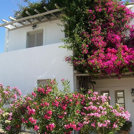 Despina'S Mare Aparthotel Naousa  Exterior photo