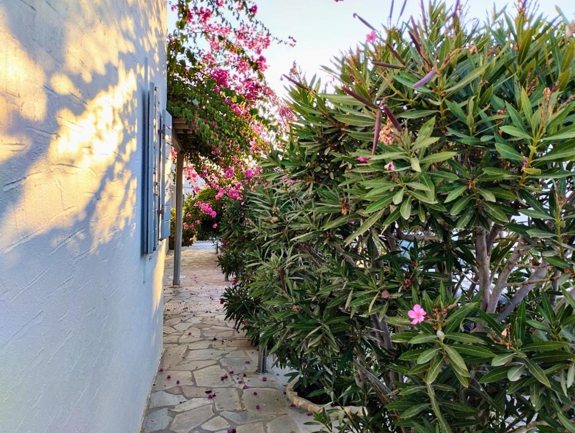 Despina'S Mare Aparthotel Naousa  Exterior photo