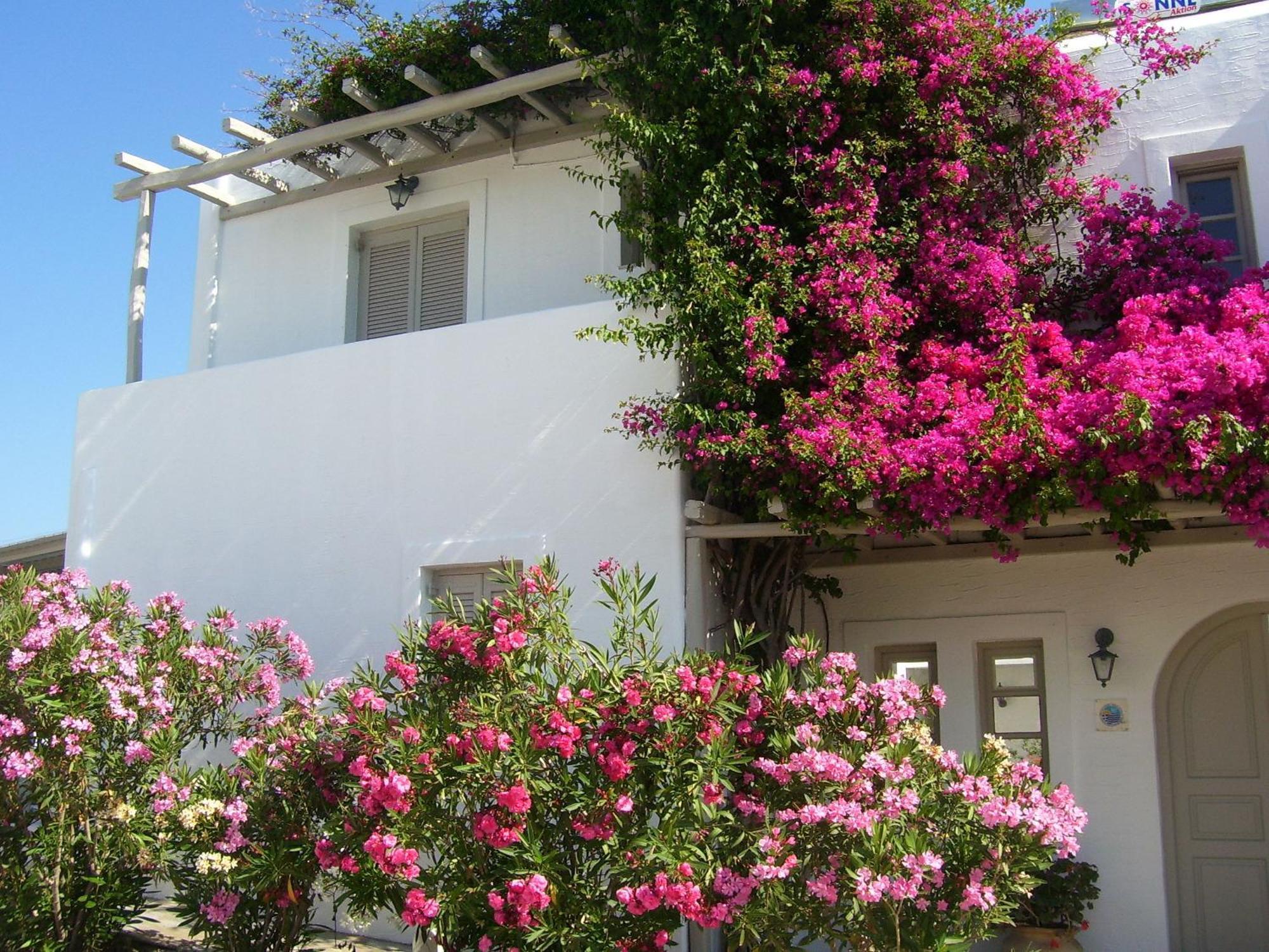 Despina'S Mare Aparthotel Naousa  Exterior photo