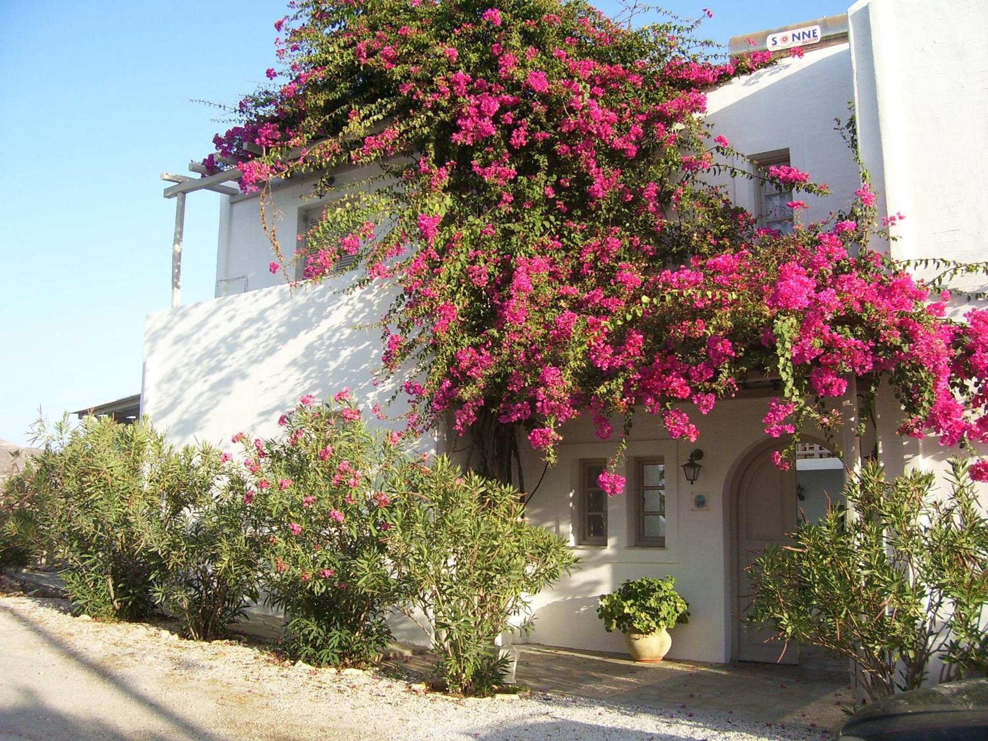 Despina'S Mare Aparthotel Naousa  Exterior photo