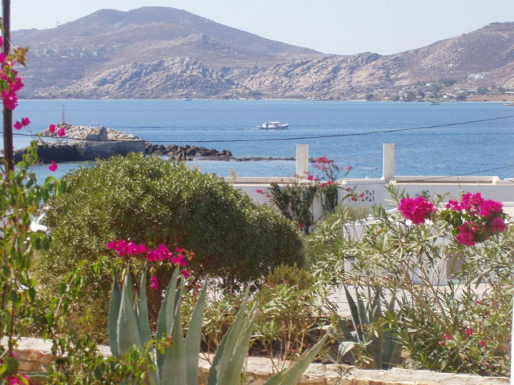 Despina'S Mare Aparthotel Naousa  Exterior photo