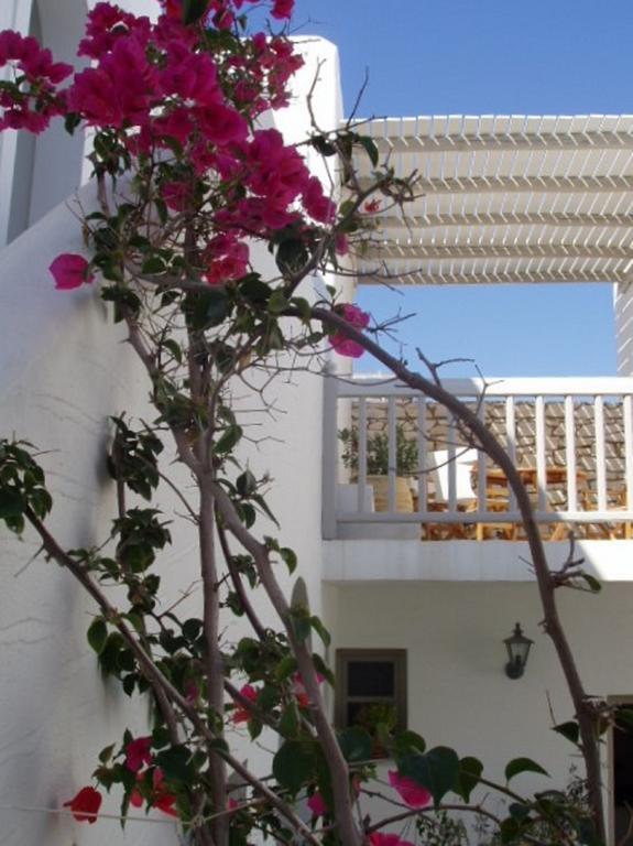Despina'S Mare Aparthotel Naousa  Exterior photo